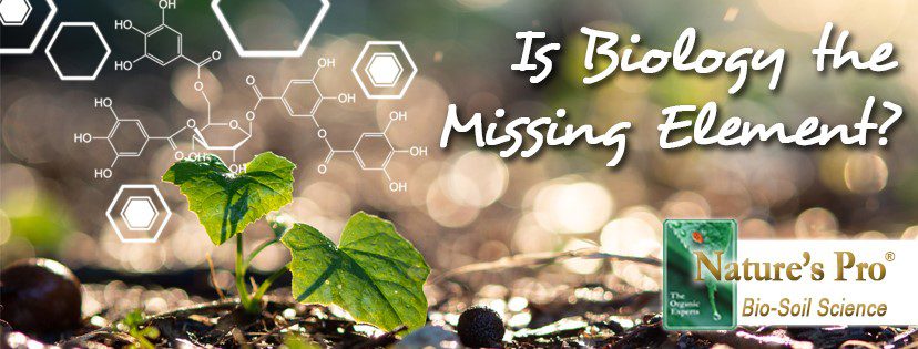 Is Biology the Missing Element?